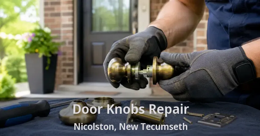 Door Knobs Repair Nicolston, New Tecumseth - ON